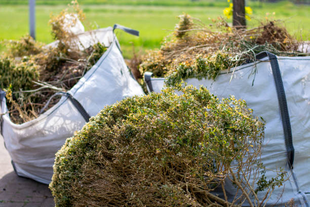 Best Same-Day Junk Removal  in Seal Beach, CA